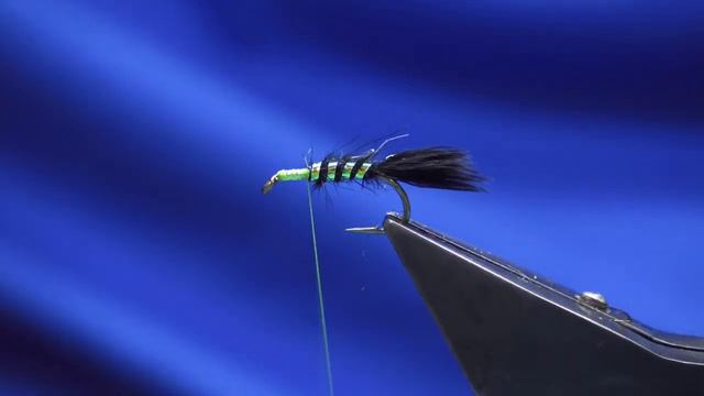 Tying The Black Nemesis with Scott Jackson 2024