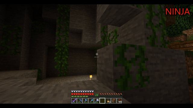 ПРИРУЧИЛИ ПАНДУ В МАЙНКРАФТ! смотреть онлайн