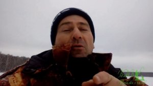 РЫБАЛКА В НИЖНЕМ ТАГИЛЕ, ЛОВИМ ЩУКУ И ОКУНЯ! РЫБАЛКА НА УРАЛЕ!