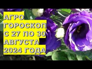 Агрогороскоп с 27 по 30 августа 2024 года Agrohoroscope from August 27 to August 30, 2024