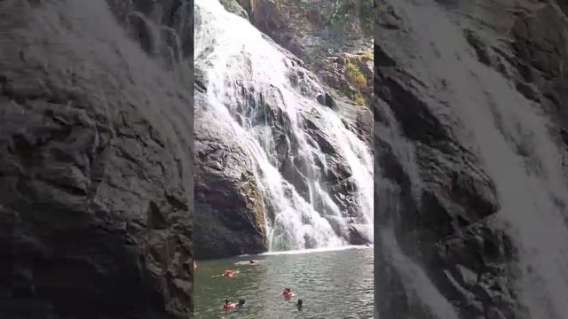 Dudhsagar❤️#new #viral #travel #Goa #recent #update