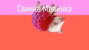 Мышка сосиска , Крыска ириска , Авокадо бегемот , Кот бутерброд , Свинка малинка , Мышка покрышка.