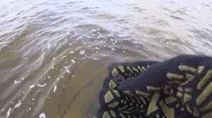 Подводный коп на реке Днепр. Окрытие водного сезона. Коп монет 2020.