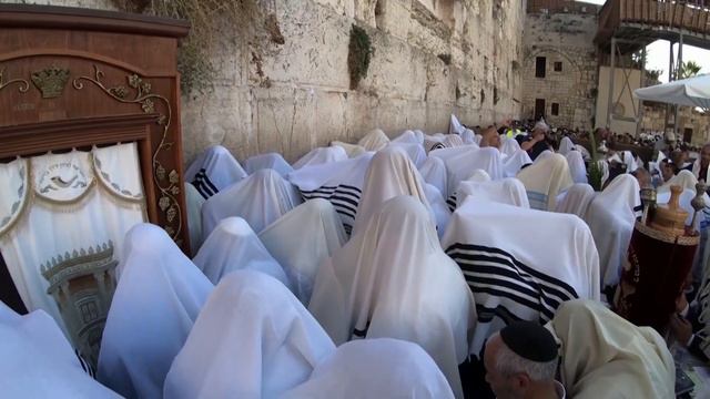 СУККОТ 2023 - 01.10.2023 Лариса Эрман (израильский гид), г. Иерусалим. смотреть онлайн