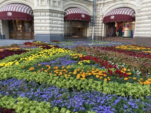 Цветущий июль в Москве - вечерняя прогулка по Центру...