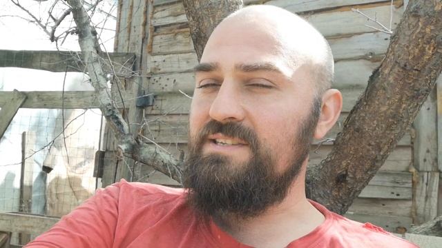 Основное и главное в Инкубации смотреть онлайн