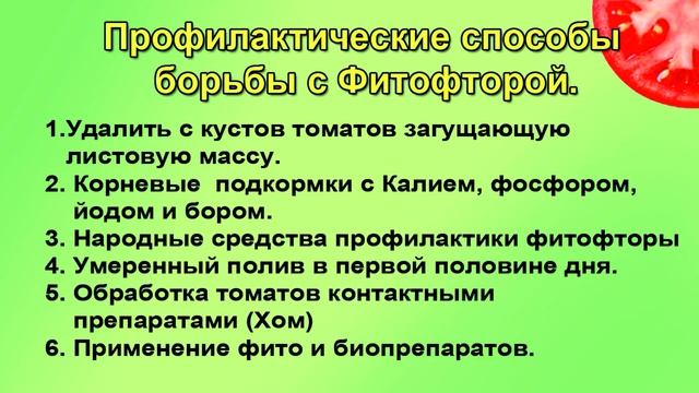 ФИТОФТОРА. Как вылечить с гарантией..