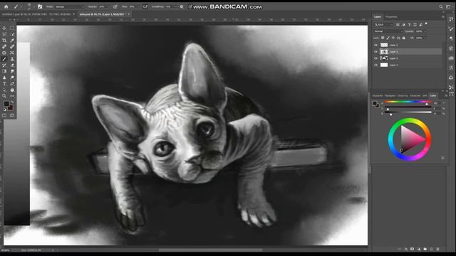Sphynx Cat Painting Time Lapse | Photoshop painting using the basic tools. смотреть онлайн