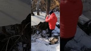 Аномалия в Приморском крае