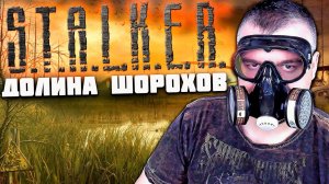 ПОЛНОЕ ПРОХОЖДЕНИЕ Stalker Долина Шорохов Gunslinger