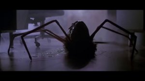 Creating The Illusion