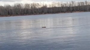 запускаем рыболовные саночки. Гуляем по берегу Енисея. Клева ноль.