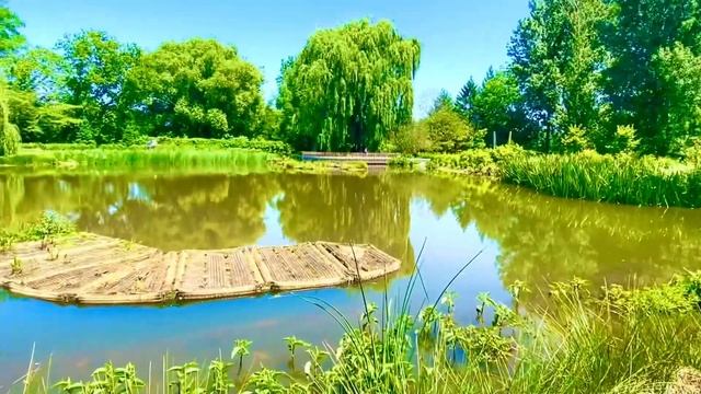 Ботанический сад в Монреаль Канада #красотаприроды #короткоевидео