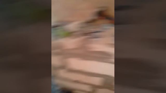 пришли клеить обои а там такое смотреть онлайн