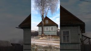 Дядя Пилит дерево