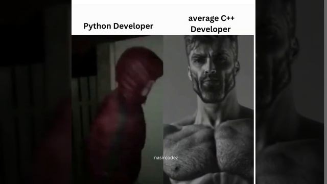 Python vs C++ Developer | coding | Programing memes |#programming  #coding #programmer #developer