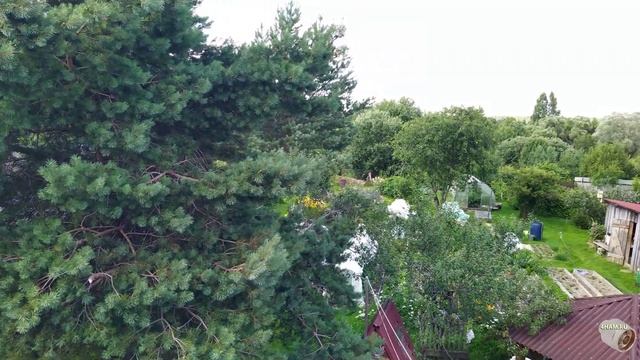 Установка соседям в деревне GSM репитера Lintratek KW17L-GD смотреть онлайн