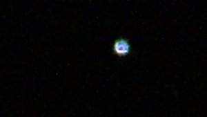 Vega star, класическа бяла звезда ВЕГА
