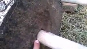 Штанга из дерева для начинающих