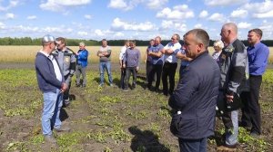 Посевной комплекс Муза Сеялка для прямого посева No-till Рогро Rogro Курган 2020