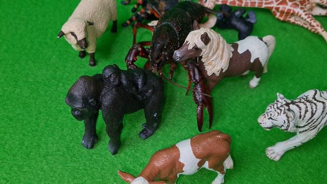 Игрушки: Фигурки Зверушки, Горилла, Черепаха, Паук, Лиса, Белочка SCHLEICH / детский канал игрушек смотреть онлайн