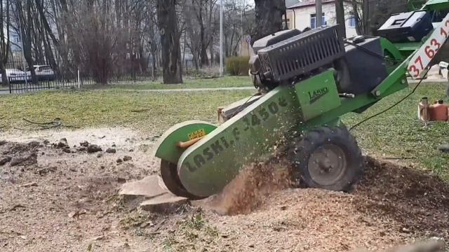 Laski F 450 E, дробление пня Laski #дробилкапней #измельчительпней #какубратьпень #удалитьпень