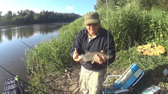 Рыбалка на реке Хопер (поймали леща) смотреть онлайн