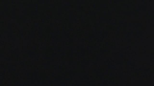 Expedition Everest - Legend of the Forbidden Mountain Animal Kingdom 2020 смотреть онлайн