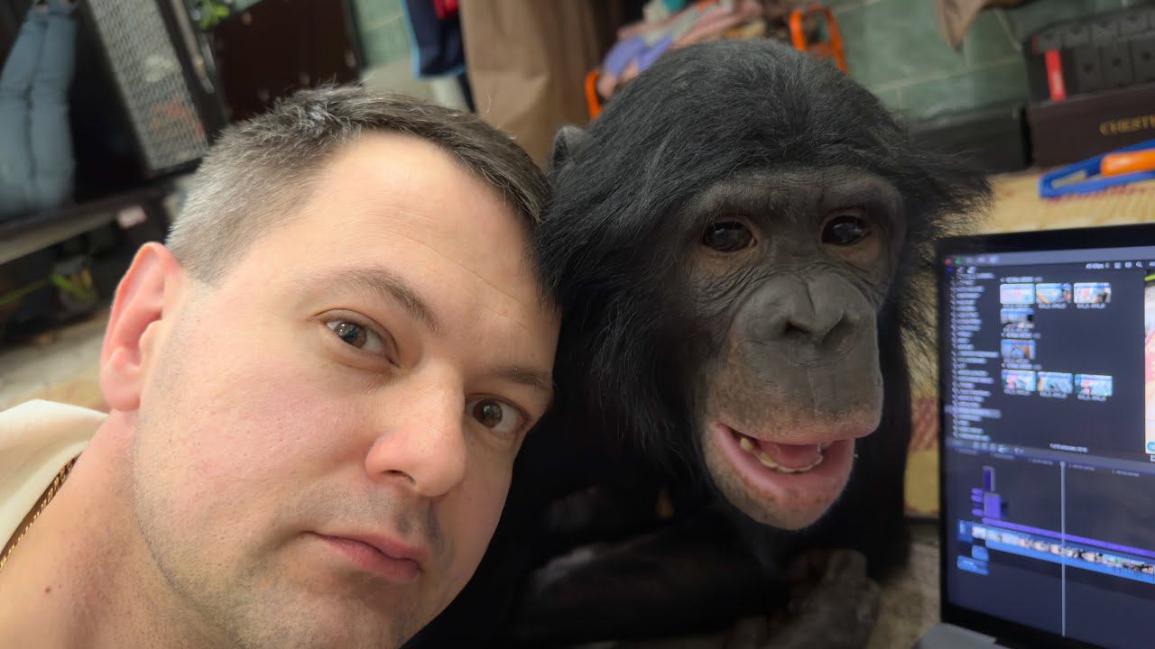 АПАРТАМЕНТЫ ДЛЯ ШИМПАНЗЕ в Карагандинском цирке / Будем выступать с оркестром! смотреть онлайн