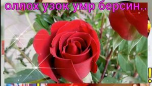 тугилган кун табрик