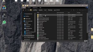 Система не обнаружила ffmpeg.dll при запуске WhatsApp
