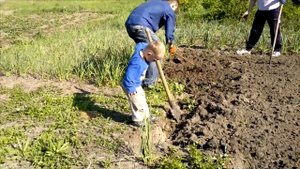 Приучаем ребёнка к труду. Грядки