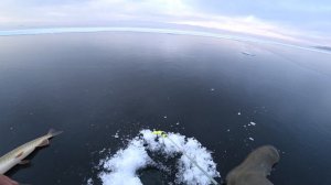 Зимняя рыбалка на щуку. Ловля щуки на балансир. Рыбалка на щуку.
