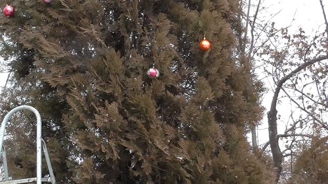 Волшебное Рождество Magic Cristmas смотреть онлайн