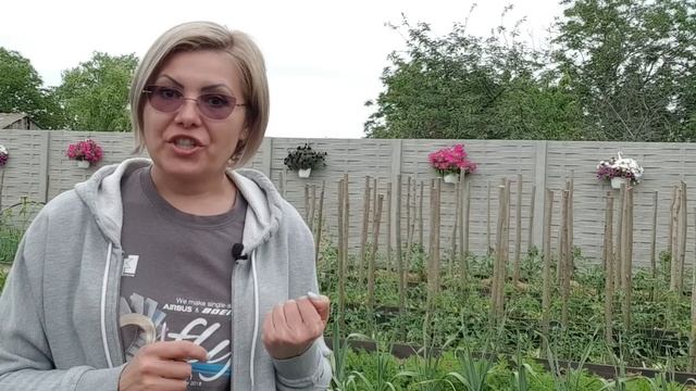 Macerate din " Buruieni"- BIO insecticid, fungicid, fertilizant смотреть онлайн