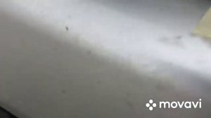 Полировка фар Рено Дастер!