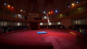 Дементьева Арина,самая юная воздушная гимнастка 4 года. Золотое сечение. г.Москва