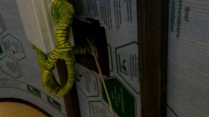 Сборка Led-экрана RGB 7000Кд 2 на 3 метра