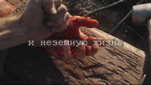 От раннего утра | Елена Крупская (Lyric Video)
