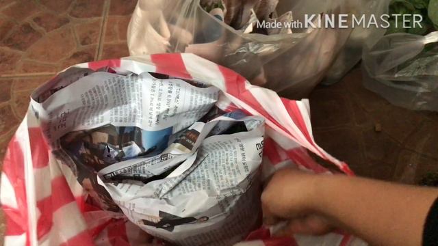 Succulent haul, visited nurseries and dish garden making (tagalog) смотреть онлайн