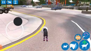 Купил новую карту в симуляторе    козла