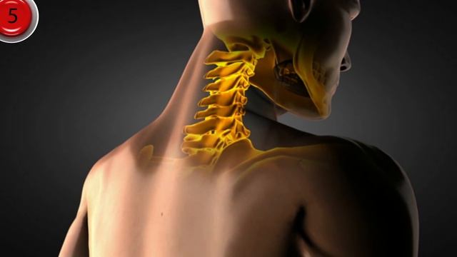 10 Вещей, Которые Случаются, Когда вы Сидите по 8 Часов Каждый День смотреть онлайн