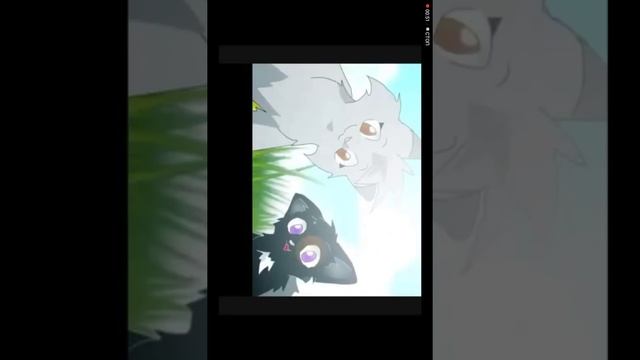 Коты Воители Стань Диким ИНТРО ( сорри за то что меня не было...) смотреть онлайн