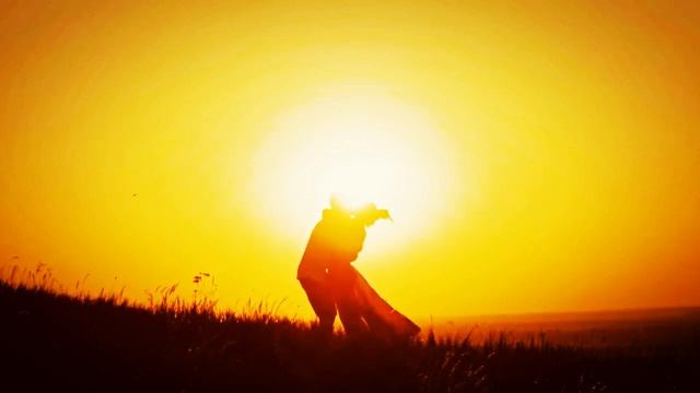 Две птичьих жизни... смотреть онлайн