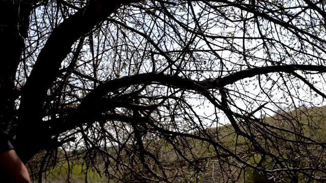 ОДИНОЧНЫЙ ПОХОД С НОЧЁВКОЙ. ВОССТАНОВЛЕНИЕ РОДНИКА. смотреть онлайн