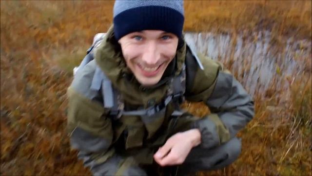 Собираем клюкву на болоте. Как растёт клюква? Часть вторая смотреть онлайн