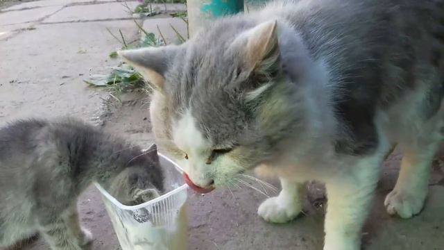 Отец бьёт сына! Нежданчик. Смотреть до конца! смотреть онлайн