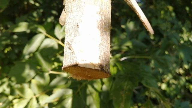 МНОГО РАЗНЫХ РЕЖИМОВ ВИДЕОСЬЕМКИ НА ХОНОР 10 АЙ