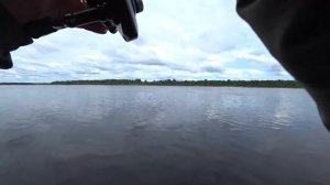 РЫБАЛКА НА ЯЗЯ В ПРОВОДКУ НА ГОРОХ/ВОТ ТАК НАДО ЛОВИТЬ С ДАЛЬНЕГО ЗАБРОСА.