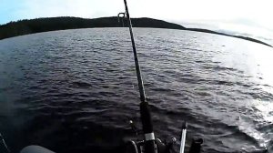 Зарядка даунриггера